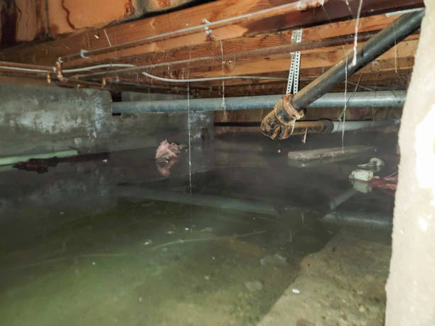 Best Emergency water damage restoration  in Waggaman, LA