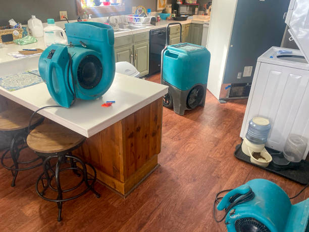Best Carpet water damage restoration  in Waggaman, LA