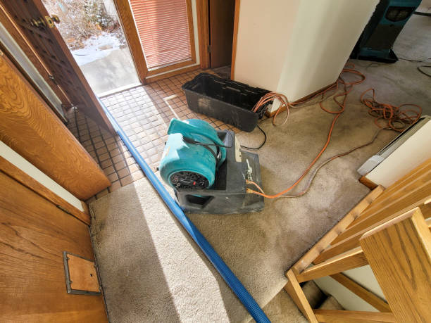 Best Flooded house restoration  in Waggaman, LA