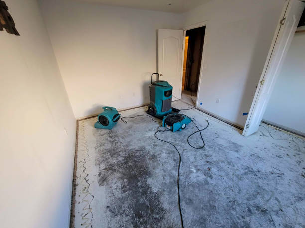 Best Water damage cleanup near me  in Waggaman, LA
