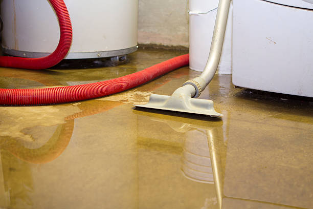 Best Local water damage restoration  in Waggaman, LA