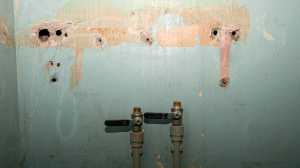 Best Ceiling water damage repair  in Waggaman, LA
