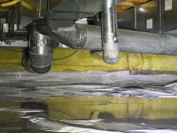 Water damage restoration mold remediation in LA