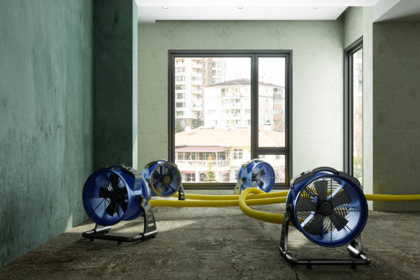 Best Water damage restoration mold remediation  in Waggaman, LA